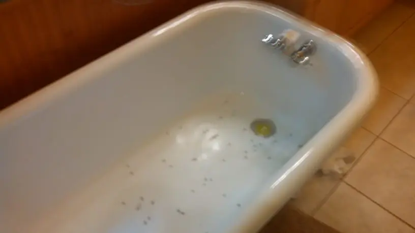 Worn and stained bathtub surface before bathtub refinishing by Absolutely Smooth Bathtubs in Southeast Michigan